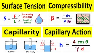 Capillary Rise Capillary Action of Water amp Mercury Surface Tension Compressibility  Shubham Kola [upl. by Ettennat]