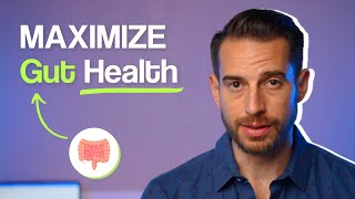 Do THIS to INSTANTLY Improve Your Gut Health with Doctor Mike Hansen [upl. by Gertruda]