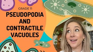 Protista  PSEUDOPODIA and CONTRACTILE VACUOLE [upl. by Fablan]