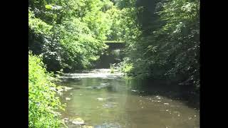 Coltness Mill South Calder Water Lanarkshire  A Visual Survey [upl. by Zinnes]