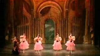 The St Petersburg State Childrens Ballet [upl. by Esyli]