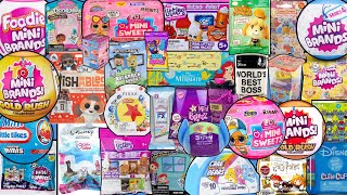 UNBOXING 60 BLIND BAGS Mini Brands Sugar Buzz Real Littles Doorables Squishmallows [upl. by Jessamine]