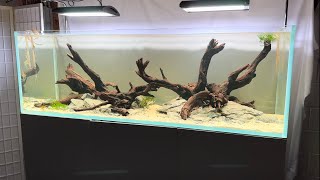 Aquarium Vlog 2 Major Changes to the 180P Aquarium [upl. by Kwarteng671]