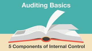 5 Components of Internal Control Understanding the COSO Framework and CRIME [upl. by Galven]