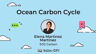 Ocean Carbon Cycle  Carbon Newbie Summit  Climate Week NYC 2024 [upl. by Seldan]