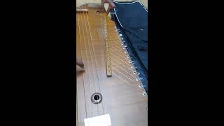 SwarmandalTanpura 2 in 1 tanpura swarmandal [upl. by Gaddi]