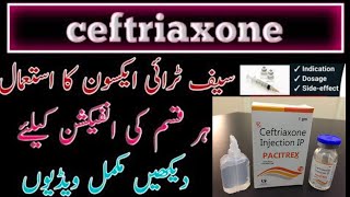 Ceftriaxone Injection Rocephin Injection Indication ll Treatment of RTI [upl. by Ahens]