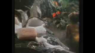 Camay Soap Commercial 1982 [upl. by Aidas588]