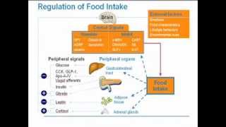 Strategies for Obesity Management [upl. by Hinckley542]