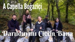 A Capella Boğaziçi  Darıldın mı Cicim Bana Hariklaki [upl. by Atikihc]