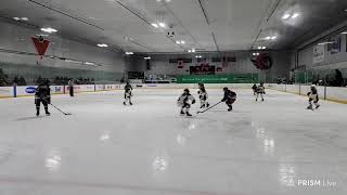 202425 U11B Nepean Wildcats vs Ennismore Eagles Kanata Tournament Game2 20241115 [upl. by Gaspar]