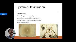 Introduction to medical Mycology [upl. by Aroved317]