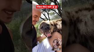 Hyena vs man 🐩🐩 hyena animals spottedhyena wildlife love reaction1991 [upl. by Nosduj]