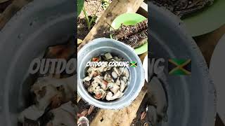 Outdoor cooking Delicious Jamaican steamed fishfypシ゚viral fyp reels duet short shortsvideo [upl. by Sweet387]