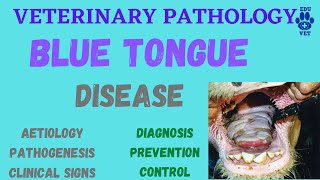 Blue Tongue Infection Etiology Pathogenesis Clinical Signs amp Diagnosis [upl. by Sheffy]