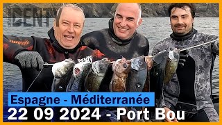 Septembre 2024 Chasse sousmarine à Port Bou Une dorade grise Bretonne [upl. by Parrott]