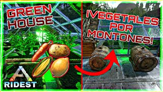 GREENHOUSE HUERTO VEGETALES A MONTONES ARK MOBILE [upl. by Harehs]