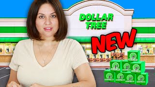 I Bought New Dollar Tree Products Heres What We SKIP [upl. by Phelps]