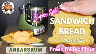 Super Soft Sandwich Bread Made With Fresh Milled Flour  Ankarsrum Mixer [upl. by Aitel]