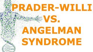 PraderWilli vs Angelman Syndrome Imprinting [upl. by Dlanor]