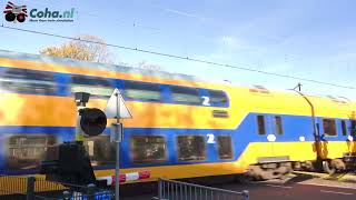 Spoorwegovergang Den Dolder 😍4K😍  Dutch railroad crossing [upl. by Lee]