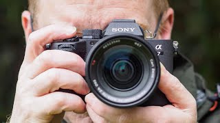 7 Best Mirrorless Cameras You Can Buy in 2024 [upl. by Dnalra]