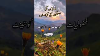 Practising Islam  Surah AlInam  Holy Quran translation in Urdu alquran117 SanaKhanVlogs21 [upl. by Asiuqram]