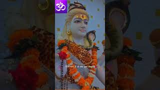 Day1365lesson learntenlightenment jaishivshambhu harharmahadev peace love viralvideo shiv [upl. by Utas]