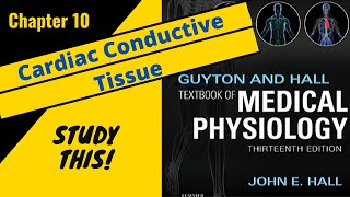 Guyton and Hall Medical Physiology Chapter 10 REVIEW Cardiac Conductive Tissue  Study This [upl. by Imray]