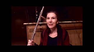 Pitched Air  Aeolian Sounds for Flute  quick tips for composers [upl. by Eirellav]