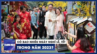 Cỏ Úa Hong NhungDan NguyenHat live Toulouse [upl. by Rudolph]