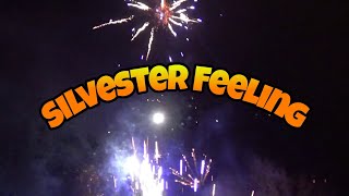 SILVESTER COMPILATION Teil 3  Noch 61 Tage bis Silvester [upl. by Frohman3]