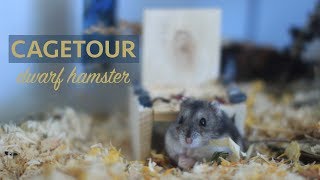 DETOLF Hamstergehege  Einrichtung Zwerghamster  Artgerechte Hamsterhaltung [upl. by Anerac]