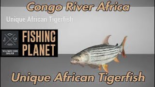 Fishing Planet  Unique African Tigerfish  Congo River Africa [upl. by Ciri]