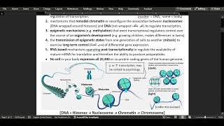 7 Regulation of gene expression in Eukaryotes  Part 1 [upl. by Airrotal815]