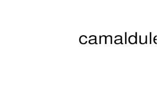 How to pronounce camaldulensis [upl. by Arielle]