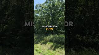 048 Acres for Sale in Iconium Missouri for 1495 [upl. by Esoryram]