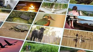 Visite Naturaliste aux Marais du Vigueirat [upl. by Aaberg]