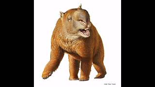 Diprotodongiant wombats reconstruction sounds [upl. by Tallou718]