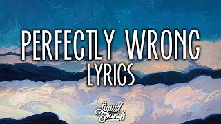 Shawn Mendes  Perfectly Wrong Lyrics [upl. by Azila367]