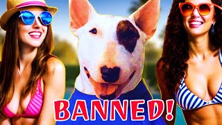 Heres Why SPUDS MACKENZIE Was BANNED From TV [upl. by Ezarra]