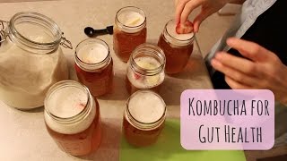 Kombucha 101  Easy Kombucha Recipe [upl. by Ainattirb862]