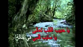 Arabic Karaoke tab leh Ragheb alame [upl. by Maude59]