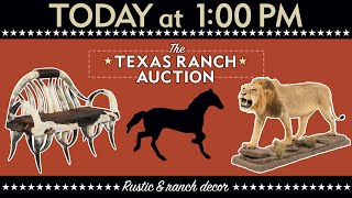 The Texas Ranch Auction  San Antonio Texas [upl. by Ahtibat121]