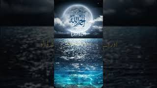 Surah Baqarah ayat 195 ki tilawat  سورۃ البقرہ کی خوبصورت آواز میں تلاوت  allah muhammad shorts [upl. by Margarete]