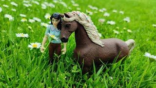 Schleich Pferde Filme [upl. by Anallij]