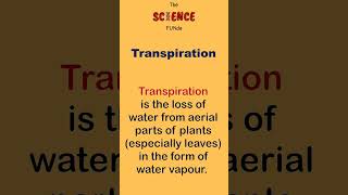 Transpiration  Types of Transpiration  Plant Physiology  The Science Funda [upl. by Rraval]