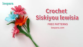 Crochet Siskiyou Lewisia Flower  Free Pattern [upl. by Balbinder]