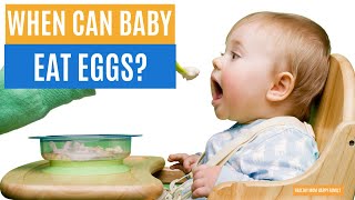 When Can Babies Eat Eggs  Egg Recipes For Baby [upl. by Chrotoem]