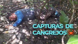 atrapando cangrejos en el mar el velero nicaragua 🦀 [upl. by Latif]